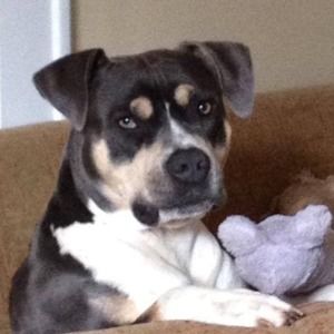 Meet your Posher, Susan